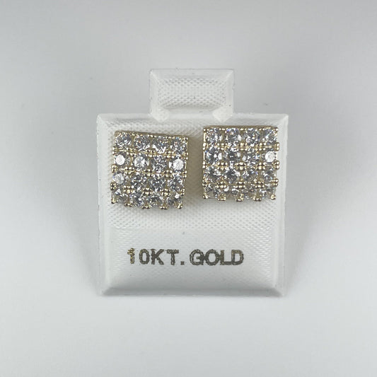 10K Gold 2.6gm Stud Earrings with Cubic Zirconia